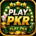 Play PKR Game