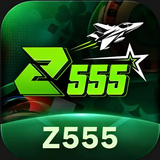 z555 game image